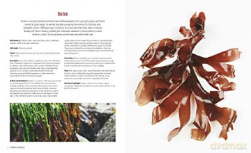 Seaweed Cookbook - Carol Warwick-Evans [KSIĄŻKA]