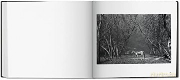 Sebastiao Salgado Kuwait - Sebastiao Salgado [KSIĄŻKA]