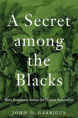 Secret Among The Blacks [KSIĄŻKA]