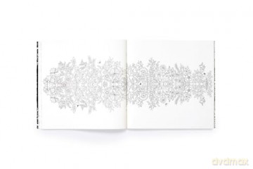 Secret Garden Limited Special Edition - Johanna Basford [KSIĄŻKA]