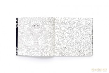 Secret Garden Limited Special Edition - Johanna Basford [KSIĄŻKA]