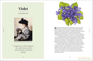 Secret Language Of Flowers [KSIĄŻKA]