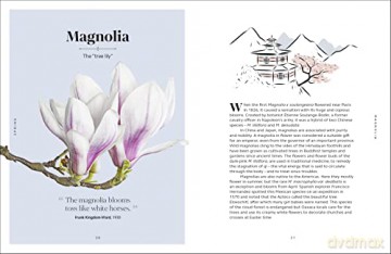 Secret Language Of Flowers [KSIĄŻKA]
