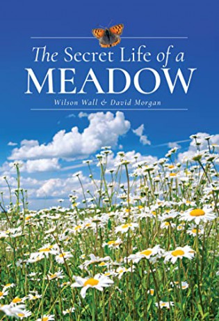 Secret Life Of A Meadow - Wilson Wall [KSIĄŻKA]