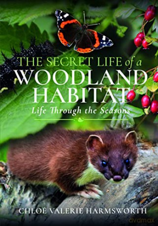 Secret Life Of A Woodland Habitat - Chloe V Harmsworth [KSIĄŻKA]