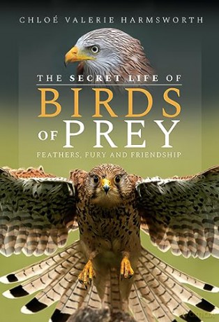 Secret Life Of Birds Of Prey - Chloe Harmsworth [KSIĄŻKA]