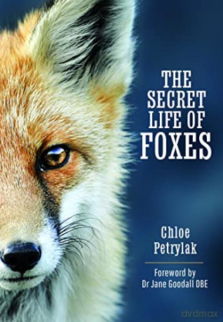 Secret Life Of Foxes - Cloe Petrylak [KSIĄŻKA]