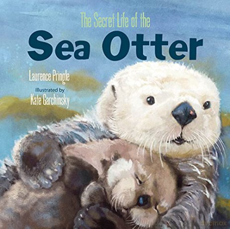 Secret Life Of The Sea Otter - Laurence Pringle [KSIĄŻKA]