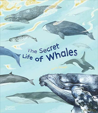 Secret Life Of Whales - Rena Ortega [KSIĄŻKA]