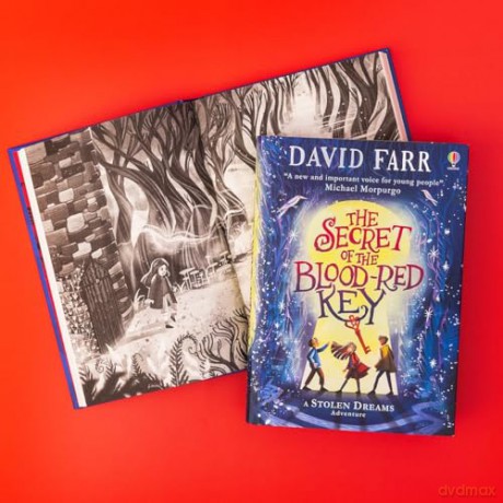 Secret Of The Blood Red Key - David Farr [KSIĄŻKA]