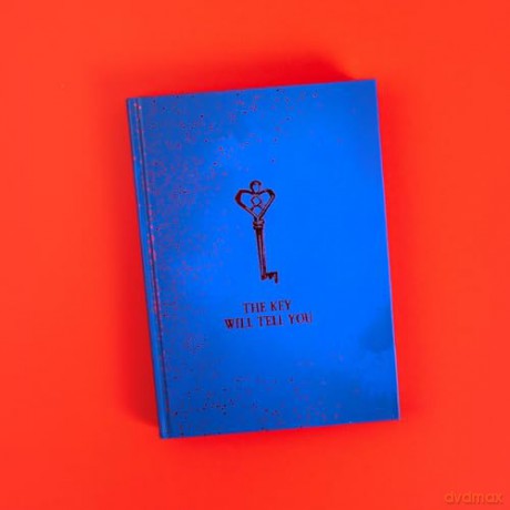 Secret Of The Blood Red Key - David Farr [KSIĄŻKA]