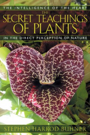 Secret Teachings Of Plants - Stephen H Buhner [KSIĄŻKA]