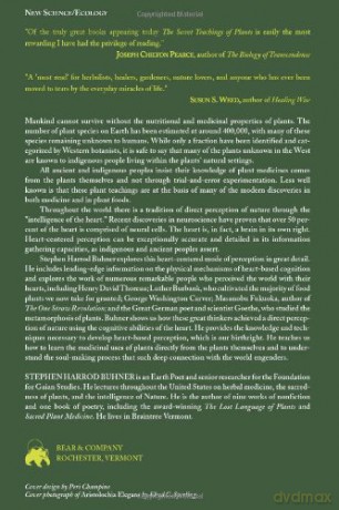Secret Teachings Of Plants - Stephen H Buhner [KSIĄŻKA]