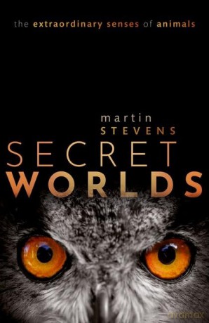 Secret Worlds [KSIĄŻKA]