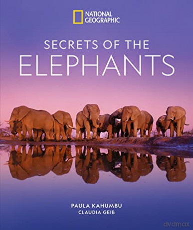 Secrets Of The Elephants - Paula Kahumbu [KSIĄŻKA]