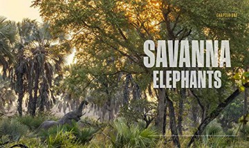 Secrets Of The Elephants - Paula Kahumbu [KSIĄŻKA]