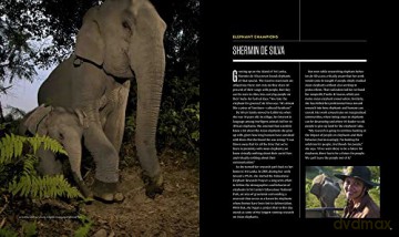 Secrets Of The Elephants - Paula Kahumbu [KSIĄŻKA]