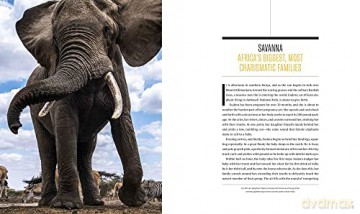 Secrets Of The Elephants - Paula Kahumbu [KSIĄŻKA]