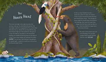 Secrets Of The Forest - Klepeis Alicia [KSIĄŻKA]