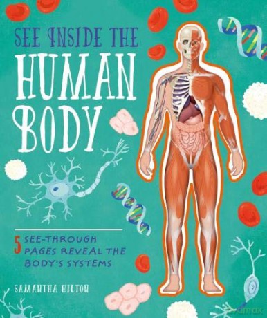 See Inside The Human Body - Samantha Hilton [KSIĄŻKA]