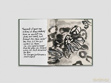 Seed Takes Root - Michele Oka Doner [KSIĄŻKA]