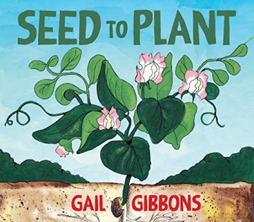 Seed To Plant - Gail Gibbons [KSIĄŻKA]