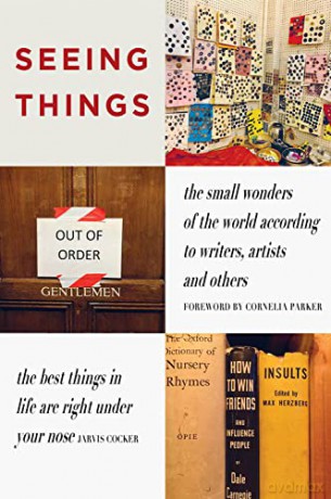 Seeing Things - Julian Rothenstein [KSIĄŻKA]