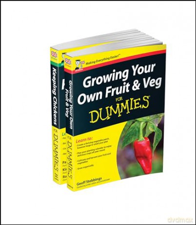 Self 8211 Sufficiency For Dummies Coll [KSIĄŻKA]