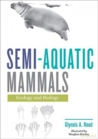 Semiaquatic Mammals - Hood [KSIĄŻKA]