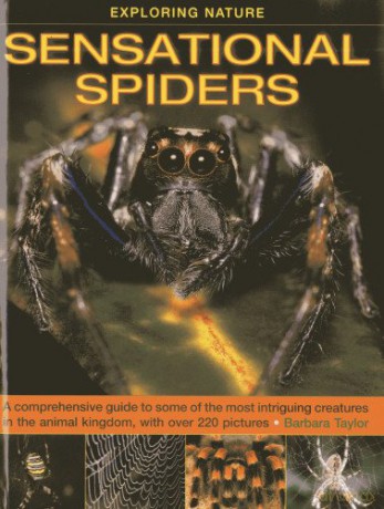 Sensational Spiders - Barbara Taylor [KSIĄŻKA]