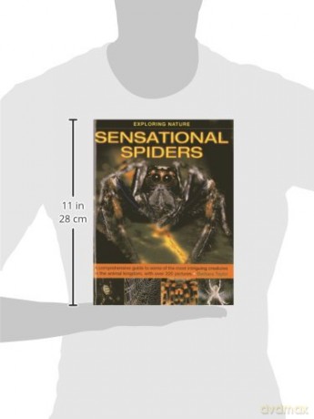 Sensational Spiders - Barbara Taylor [KSIĄŻKA]