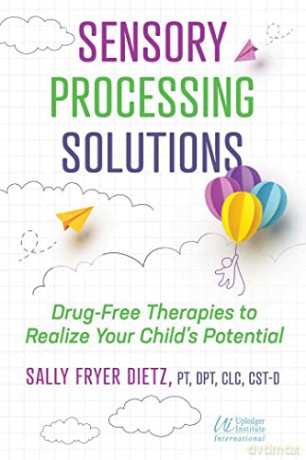 Sensory Processing Solutions - Sally Fryer Dietz [KSIĄŻKA]