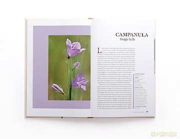 Sexual Life Of Flowers - Simon Klein [KSIĄŻKA]