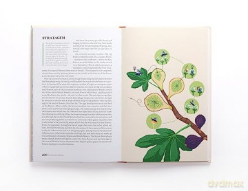 Sexual Life Of Flowers - Simon Klein [KSIĄŻKA]