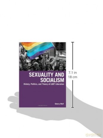 Sexuality And Socialism - Wolf Sherry [KSIĄŻKA]