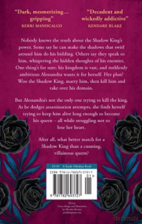 Shadows Between Us - Tricia Levenseller [KSIĄŻKA]