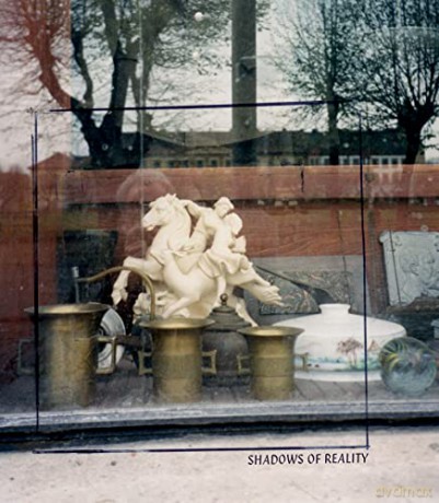 Shadows Of Reality - W G Sebald [KSIĄŻKA]