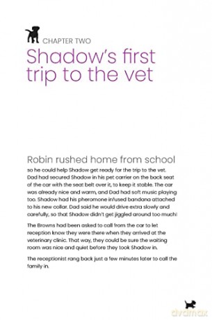 Shadows Trip To The Vet - Claire Corridan [KSIĄŻKA]