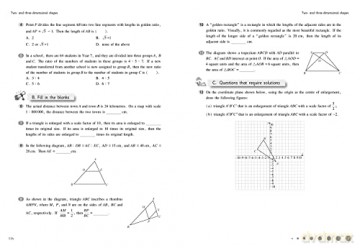 Shanghai Maths Project Practice Bk Yr 11 - Professor Liang Fan [KSIĄŻKA]