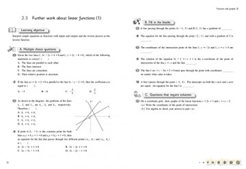 Shanghai Maths Project Practice Bk Yr 11 - Professor Liang Fan [KSIĄŻKA]