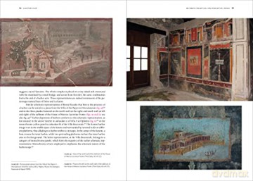 Shaping Roman Landscape - Mantha Zarmakoupi [KSIĄŻKA]