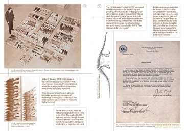 Sharif Bey Excavations - Sharif Bey [KSIĄŻKA]