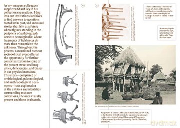 Sharif Bey Excavations - Sharif Bey [KSIĄŻKA]