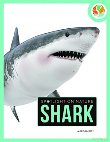 Shark - Melissa Gah [KSIĄŻKA]