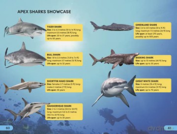 Shark Apex Predator Level 4 [KSIĄŻKA]