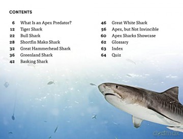 Shark Apex Predator Level 4 [KSIĄŻKA]