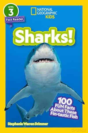 Sharks - Stephanie W Drimmer [KSIĄŻKA]