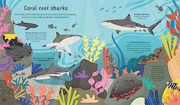Sharks Sharks Sharks - Susan Martineau [KSIĄŻKA]