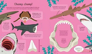 Sharks Sharks Sharks - Susan Martineau [KSIĄŻKA]
