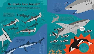 Sharks Sharks Sharks - Susan Martineau [KSIĄŻKA]